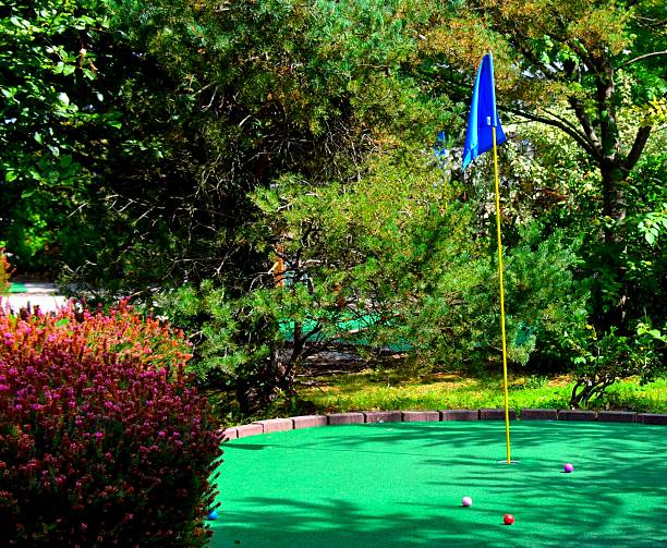 mini golf course in autumn covered with yellow leaves
