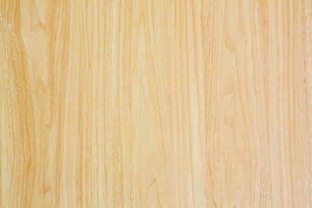 istock Texture of wood background 509955693