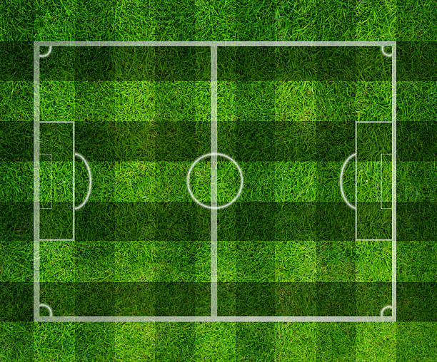 istock soccer field, Green grass background and texture 509956005