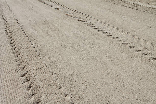 istock Cleaning the sand of the beach 509956227