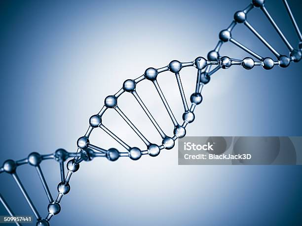 Dna Stock Photo - Download Image Now - DNA, Helix, Helix Model