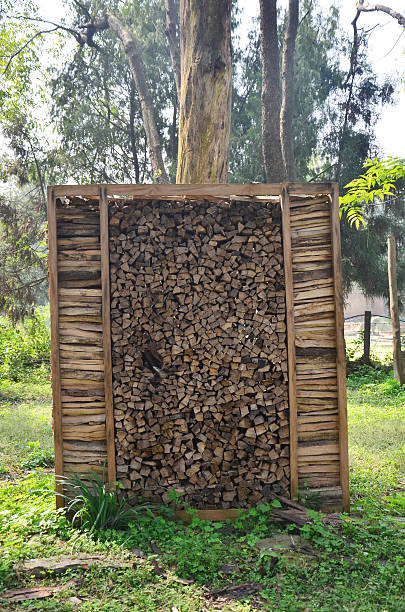 Firewood is any wooden material that is gathered and used for fuel. Generally, firewood is not highly processed and is in some sort of recognizable log or branch form, compared to other forms of wood fuel like pellets or chips.