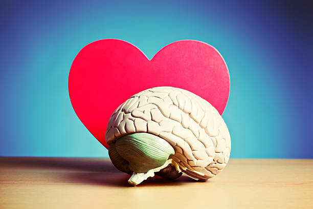 istock I think I'm in love! Model brain and heart 509958647