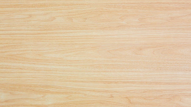 istock Texture of wood background 509959077