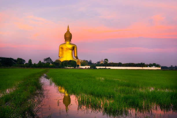 größte buddha in thailand, ang thong-provinz - buddha image stock-fotos und bilder