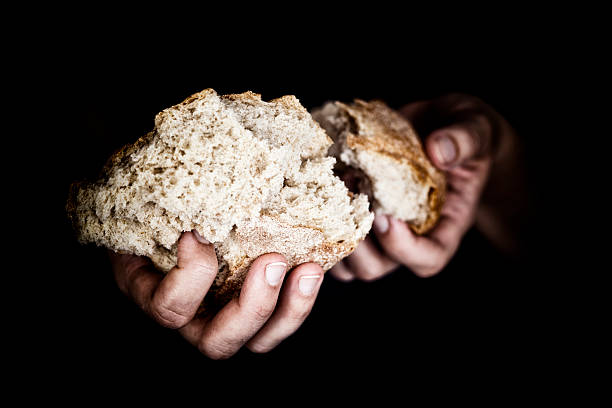 istock Woman's hands holding a pieces of bread 509962213