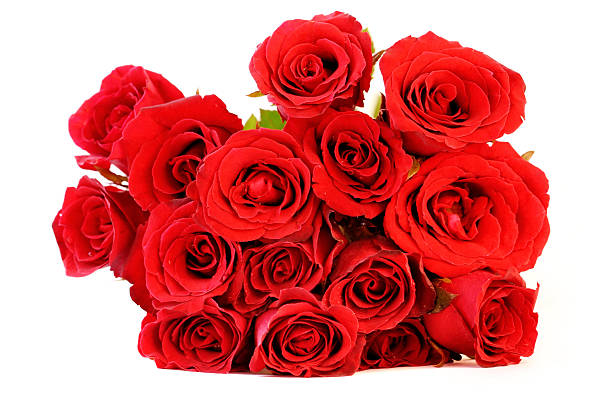 istock Red roses bouquet on white background 509978985