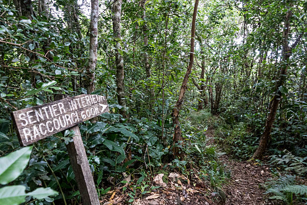 istock Tagging, Sign, hiking, France 509980153