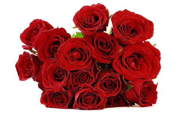 istock Maroon red roses bouquet on white background 509982687