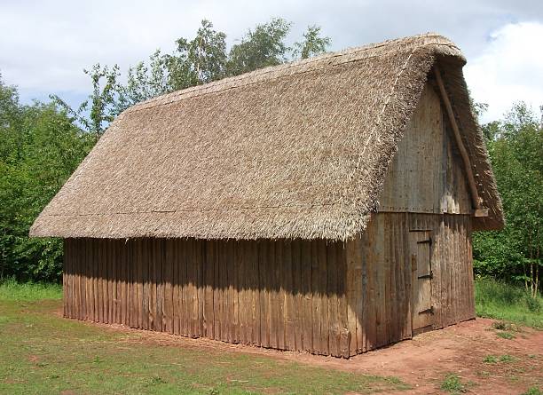 Reconstruction of Dark Ages Anglo-Saxon hall Reconstruction of Dark Ages Anglo-Saxon thatched wooden hall, built at Bishops Wood Centre, Worcestershire, England. anglo saxon photos stock pictures, royalty-free photos & images