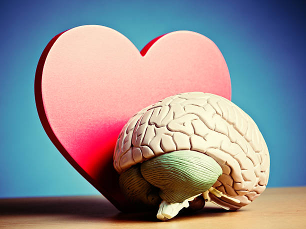 istock To work properly, your brain needs a healthy heart 509983509