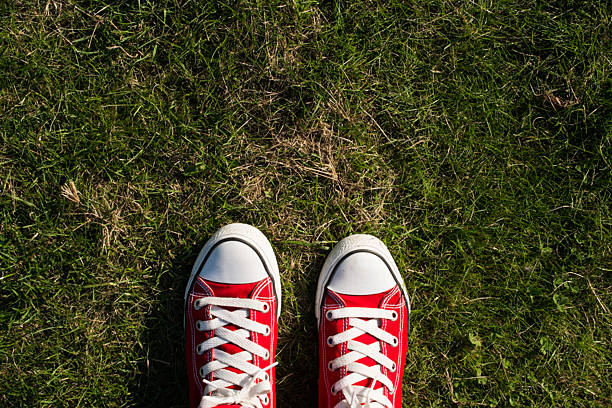 istock Travel with sneakers 509983877