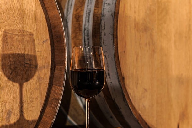istock Red Wine Glass, Tasting in Old Cellar, Europe 509985433
