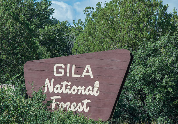 istock Gila National Forest Sign 509985487
