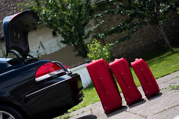 Suitcases in front of a trunk