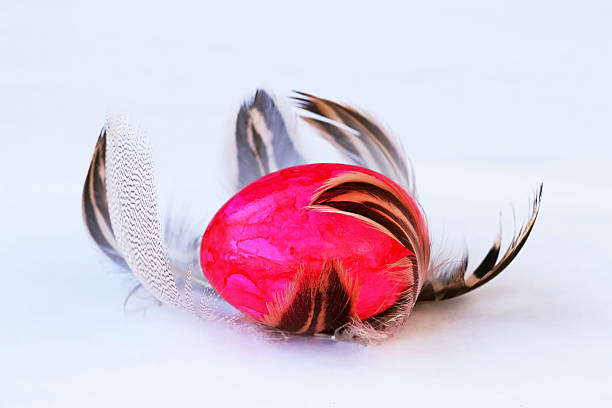 istock Easter nest of feathers 509990720