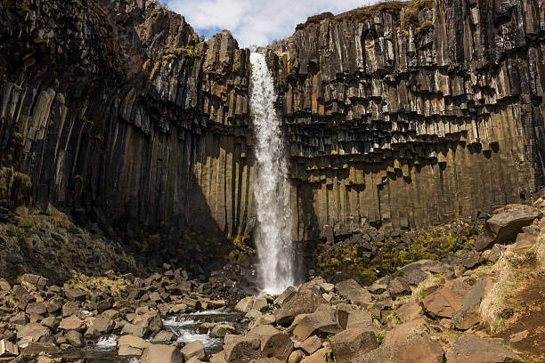 istock Svartifoss waterfall, Iceland, south coast 509990798