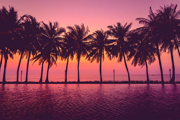 istock Sunset with silhouette Palm trees, Pastel Style 509992178