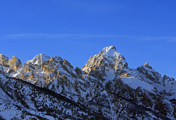 istock Buck Mountain - Grand Tetons at sunset 509995404