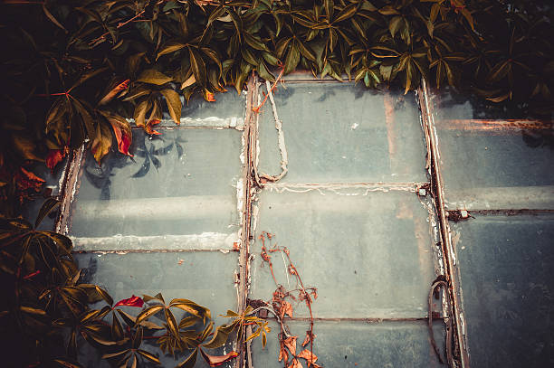 istock Old glass window in an abandoned house. Beautiful scenery 509999008