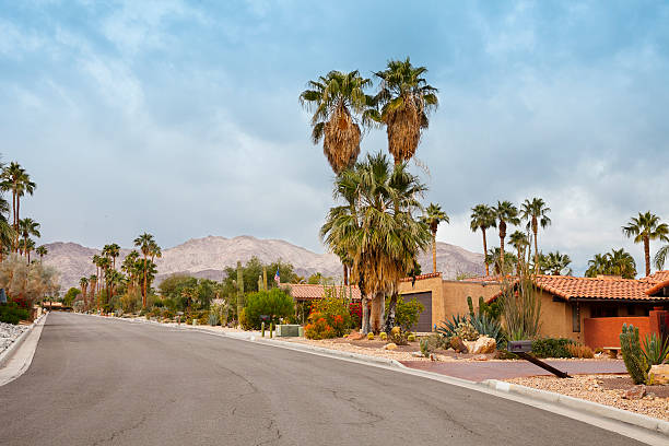 istock Palm Springs residential street 509999662