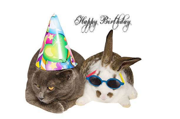 istock Happy birthday card 510001226