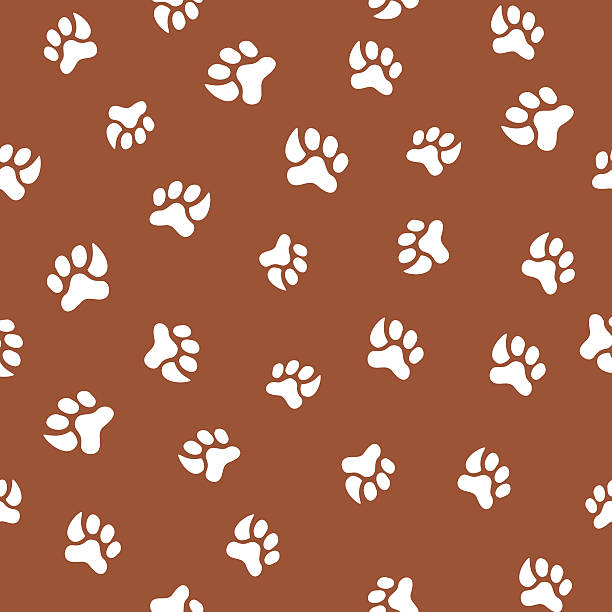 istock Seamless pattern with footprint of cat and dog 510002258