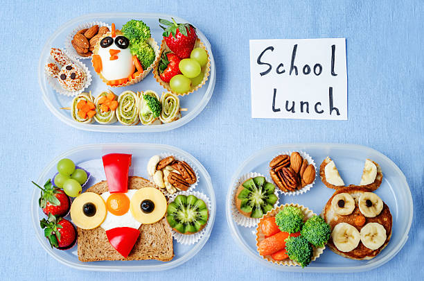 istock school lunch box for kids 510004010
