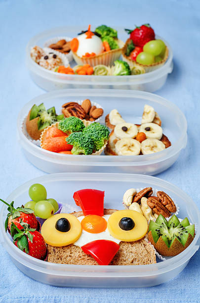 istock school lunch box for kids 510004066
