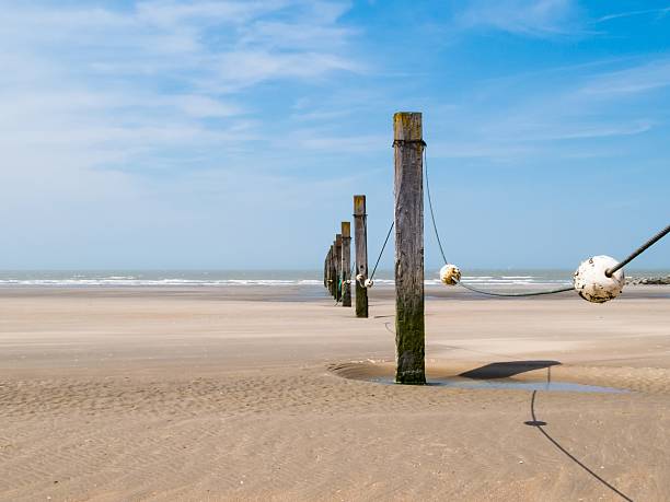 istock Row of wooden breakwaters 510004090