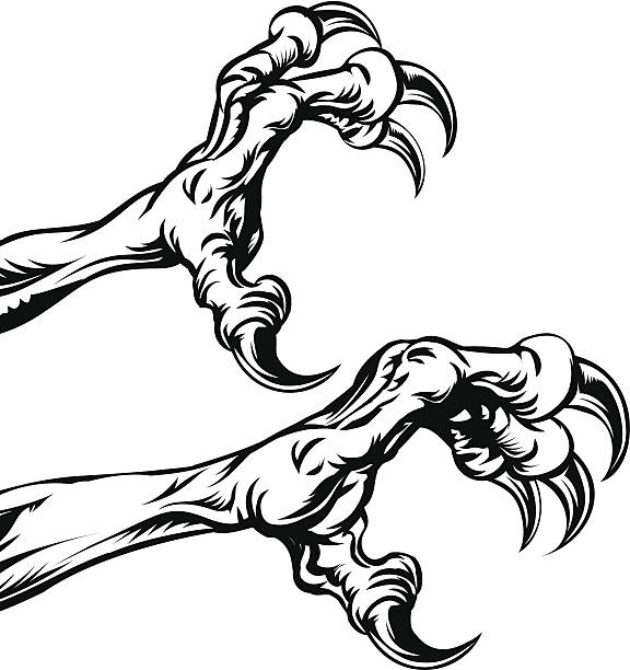 Eagle claws An illustration of eagle or monster animal claws or talons talon stock illustrations