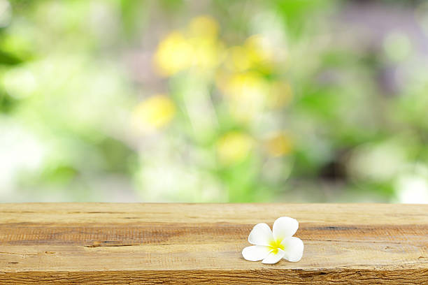 istock Outdoor Wooden table view 510006376