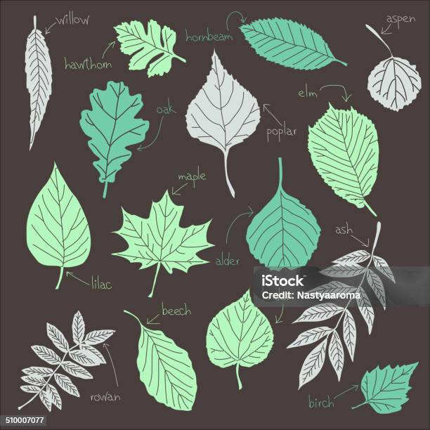 Vector Set Of Leaves Stock Illustration - Download Image Now - Alder Tree, Autumn Leaf Color, Beige