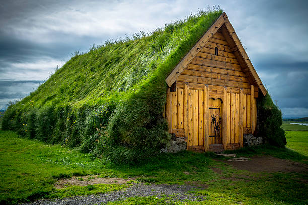 Turf House An old turf house in Skalholt, Iceland sod roof stock pictures, royalty-free photos & images