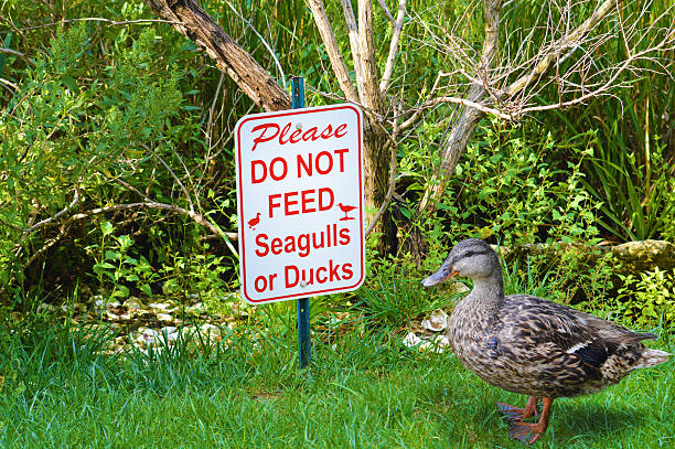 A sign that reads \
