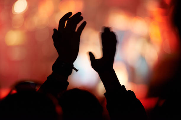 istock Seeing their favorite band in action! 510008777