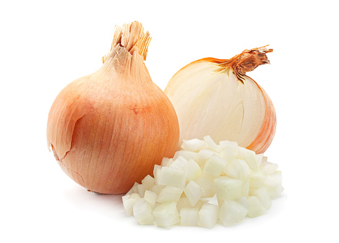 Sprouting onion isolated on white background