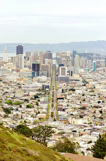 istock Aerial view of Downtown San Francisco 510009948