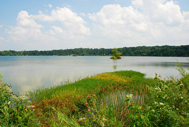 We spent the day chasing random views around us, it ended up that they was all near the lake in different areas of town.