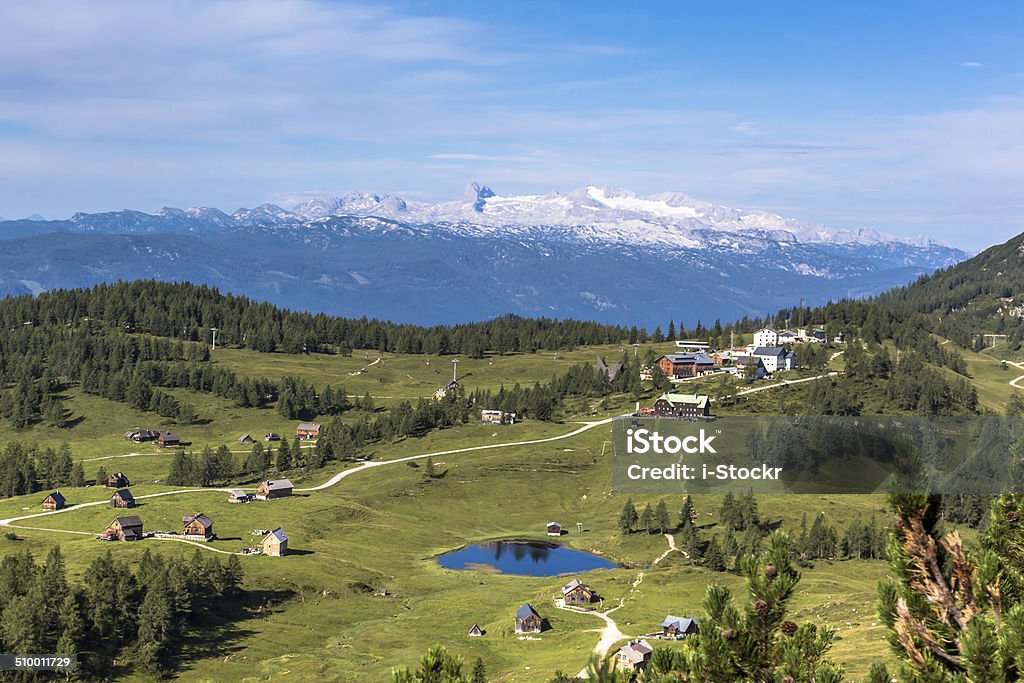 Mountains Large view at the high mountains Alps Austria Cow Stock Photo