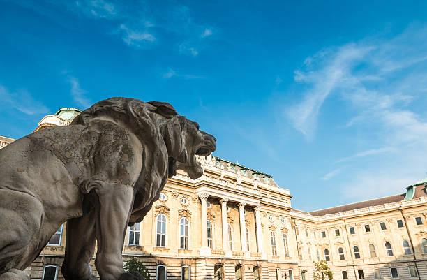 istock Lion courtyard in Castle hill Budapest 510011789
