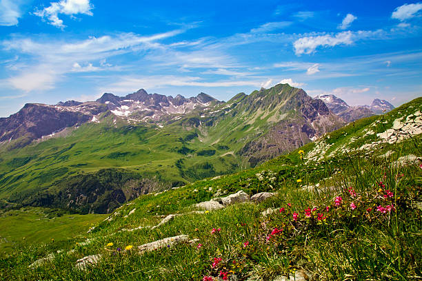 montagne paesaggio del vorarlberg - european alps flower north tirol holiday foto e immagini stock