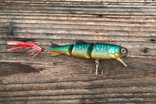 istock Fishing bait isolated on wooden background 510014766