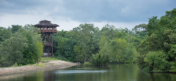 istock The Aerie at Sungei Buloh 510014828