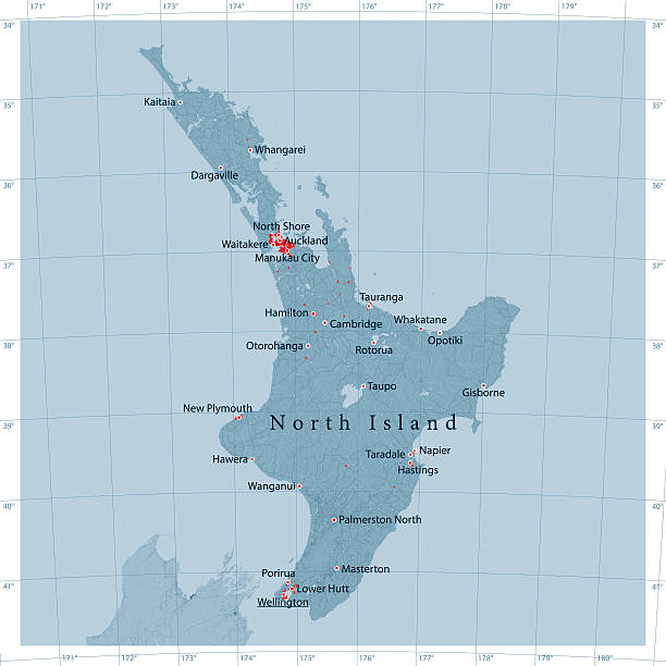 istock North Island Of New Zealand Vector Road Map 510017048