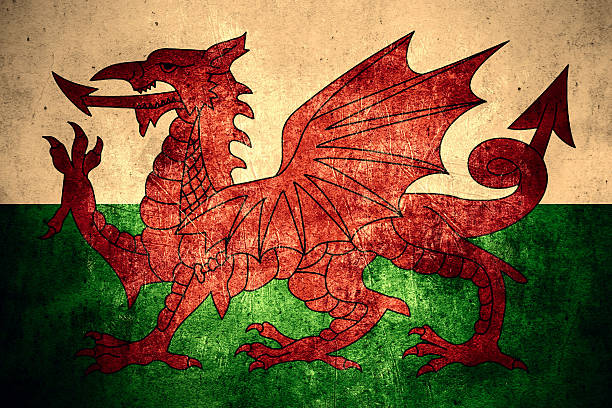 istock flag of Wales 510019236