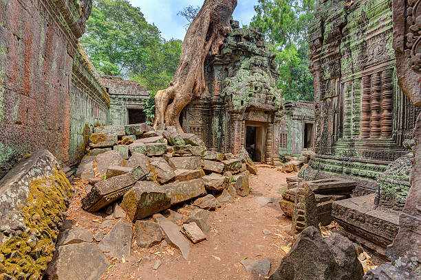 istock Angkor Wat Cambodia. Ta Prohm Khmer ancient Buddhist temple 510020568