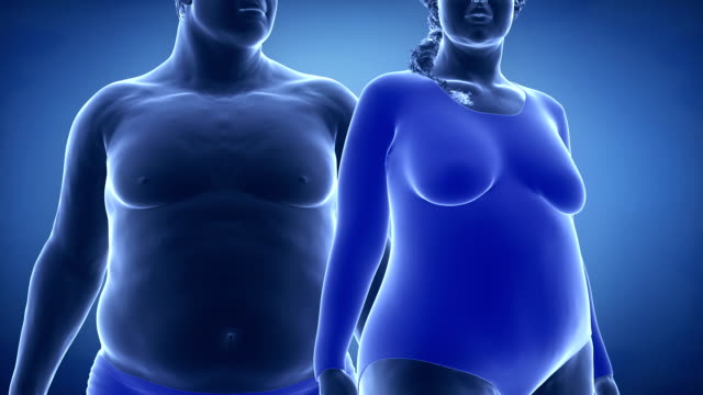 Male and female obesity concept