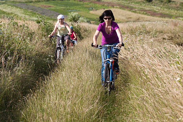 istock Family riding a bicycles in the meadow 510040595