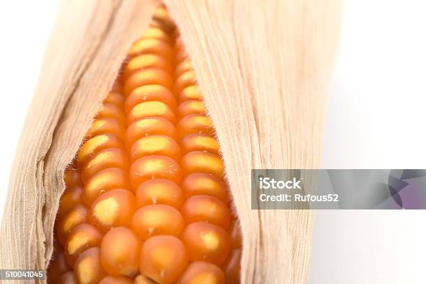 Close Up Of The Corn Stock Photo - Download Image Now - Abundance, Arrangement, Autumn